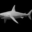 Hunter_Shark_modeled.JPG Misc. Creatures for Tabletop Gaming Collection