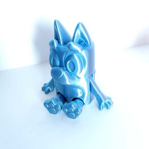 WhatsApp-Image-2023-03-08-at-9.41.20-AM.jpeg Joli chien bleu