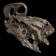 66.png Cráneo de Proceratosaurus