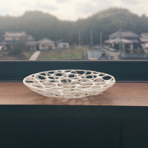 Voronoi dish