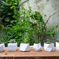 1.jpg STL file Macetas 6 pack/ 6 pack flower pots・3D printer design to download