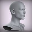300.15.jpg 11 Male Head Sculpt 01 3D model Low-poly 3D model
