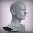 300.15.jpg 11 Male Head Sculpt 01 3D model Low-poly 3D model