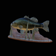 bass-na-podstavci-4.png bass 2.0 underwater statue detailed texture for 3d printing