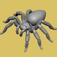 Tarantula-Spider-Articulated.jpg TARANTULA ARTICULATED