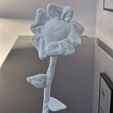 1.jpg Funny balancing flower