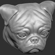 18.jpg Pug head for 3D printing