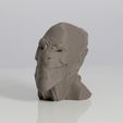 A1.jpg ACHFOS - Alien Creature Head From Outer Space