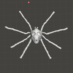 skull-spider.jpg skull spider