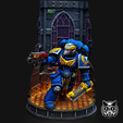 Graia's Veteran Defender