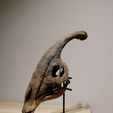 IMG_20201102_183446.jpg Dinosaur skull - Parasaurolophus