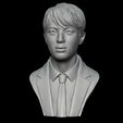 16.jpg Jin bust 3D print model