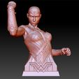 WonderWoman_0016_Layer 17.jpg Wonder Woman Gal Gadot 3d print bust