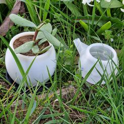 tof-1.jpg small flower pot