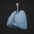 HLC_Render2.png Human Lung Cancer