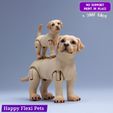 1.jpg Labrador retriever realistic dog articulated flexi toy (STL & 3MF)