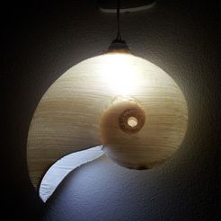 20170510_141814.jpg Archivo STL LAMP NAUTILUS・Plan de impresión en 3D para descargar