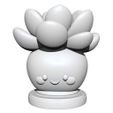 Plant.jpg Pflanze