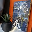 IMG_2743.jpg BOOKEND DEATHLY HALLOWS