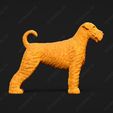 151-Airedale_Terrier_Pose_01.jpg Airedale Terrier Dog 3D Print Model Pose 01