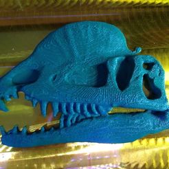 IMG_1910_display_large_display_large.jpg Free STL file Dilophosaurus Plaque・3D print design to download