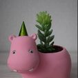 asdasdw.JPG planter, hippo, flower pot