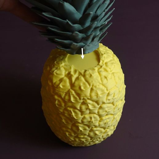 11.jpg Ananas en tranches