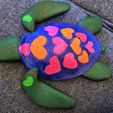 20240203_233451.jpg Turtle model valentines love gifts