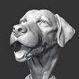 04.png Labrador Retrieve Head AM26 3D print model