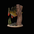 peacock-bass-trophy-natural-2-2-8.png Peacock bass (Cichla ocellaris) fish trophy in motion sculpture 2 underwater detailed texture for 3d printing