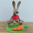 IMG06.jpg Lapin amateur de carottes