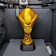IMG_20260616_013451.jpg FOOTBALL TROPHY CUP