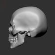 화면-캡처-2021-10-17-215013.jpg skull_human