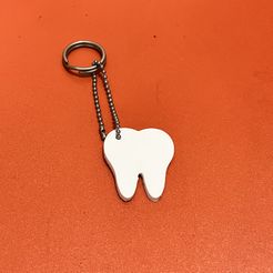 IMG-0627.jpg STL file Key ring in the shape of a tooth (Print in place)・3D print model to download