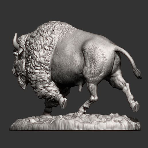 bison11.jpg Bison 3D print model