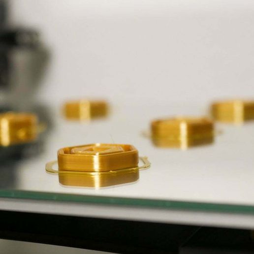 IMG_2518.jpeg Robux coin