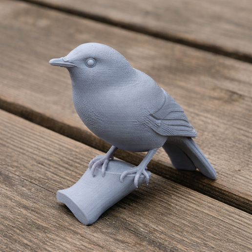 Australian golden whistler