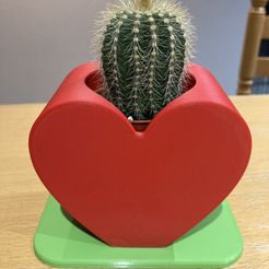 IMG_6129.jpg Cactus heart pot