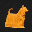 592-Australian_Silky_Terrier_Pose_02.jpg Australian Silky Terrier Dog 3D Print Model Pose 02