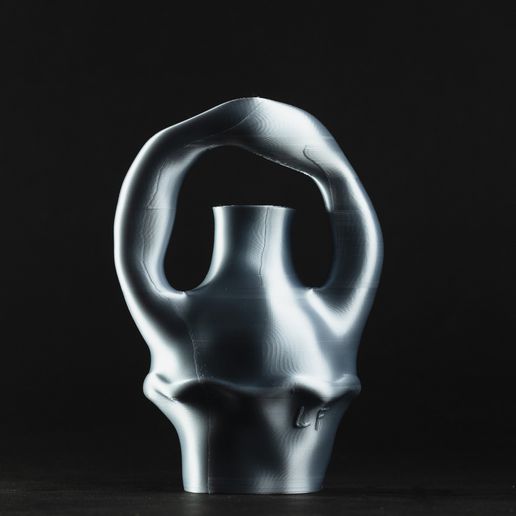 Liquid-Form_Loop-Vase_Back.jpg Vase à boucles