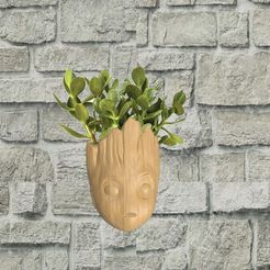 groot-fleurs.jpg Groot wall pot / Vase #PLANTERSXCULTS