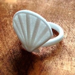 IMG_8386 copy.jpg Free STL file Wanderlust Shell Ring・3D printing model to download