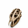 WhatsApp-Image-2026-06-12-at-13.16.30-5.jpeg 10 Skull STL Bundle | 3D Printable Skull Collection | Dragon, Human, Beast & Horned Skull Models | Instant Download