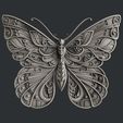 P233.jpg Butterfly