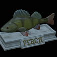 Perch-statue-18.png fish perch / Perca fluviatilis statue detailed texture for 3d printing