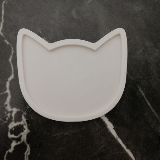 IMG_20240511_233802.jpg Cat tray