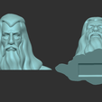 pieces 3.png Gandalf Bust - Ian McKellen - Lord of The Rings