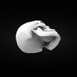 skull01-render2.png Skull
