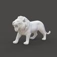 Lion_1.1.jpg Growling Lion