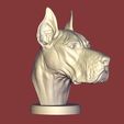 2.jpg Great Dane Bust / Gran Dane Bust